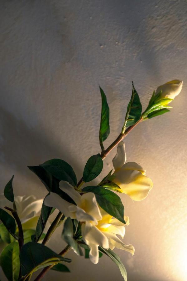 Ca' Anna In Biennale Apartment Venice Ngoại thất bức ảnh